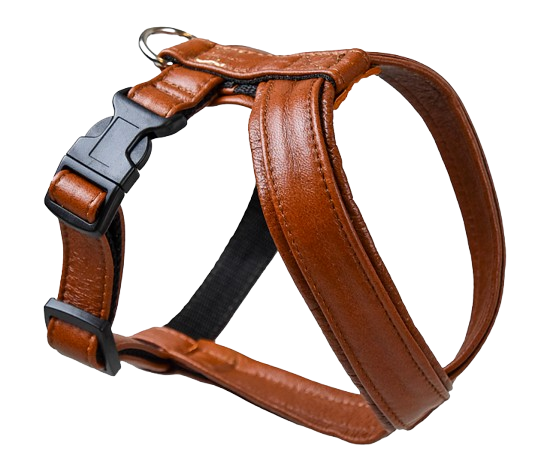 Gustaf och Evita Hundsele Pro - Skinnskodd