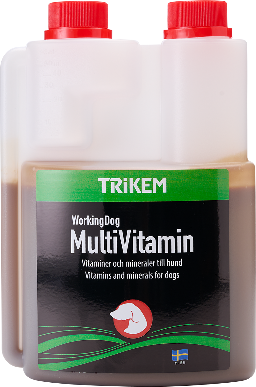 WorkingDog Multivitamin 500 ml