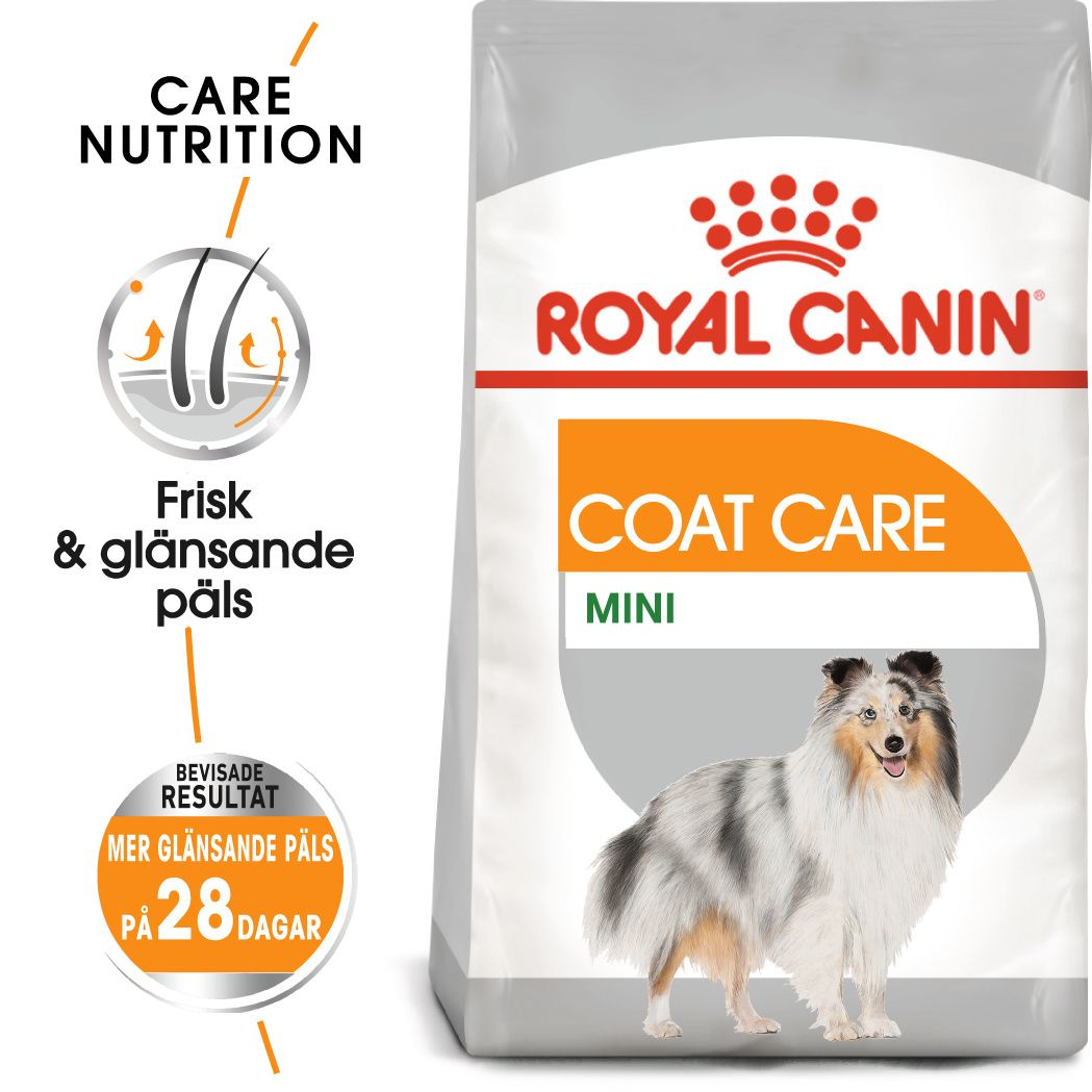 Royal Canin Coat Care Adult Mini tørrfôr for hunder 3 kg