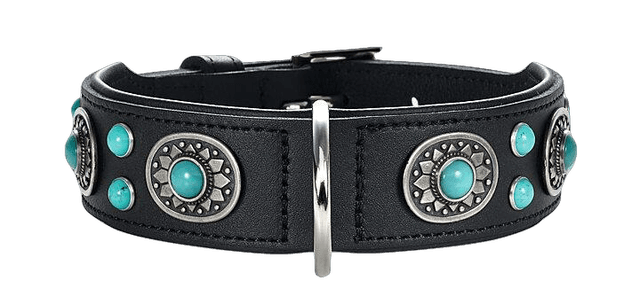 Dog Collar Sioux Black/Turquoise M 55 - Neck 41-49cm
