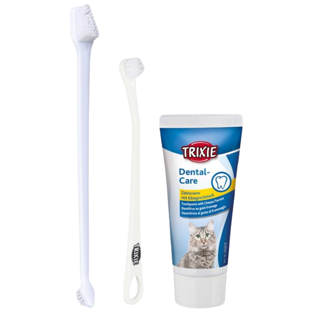 Tannpleiesett for katter, 2 børster + tannkrem med ostesmak