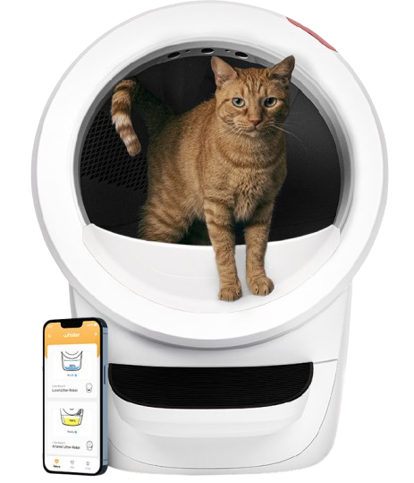 Whisker Litter-Robot 4 Selvrensende kattebakke, hvit