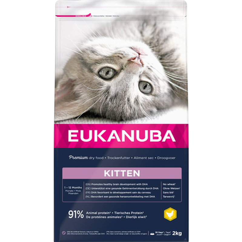 Eukanuba - Cat Kitten Healthy Start 10 kg - Katt - Helse og pels - Kosttilskudd - Tørrfôr - Dyrekassen.no