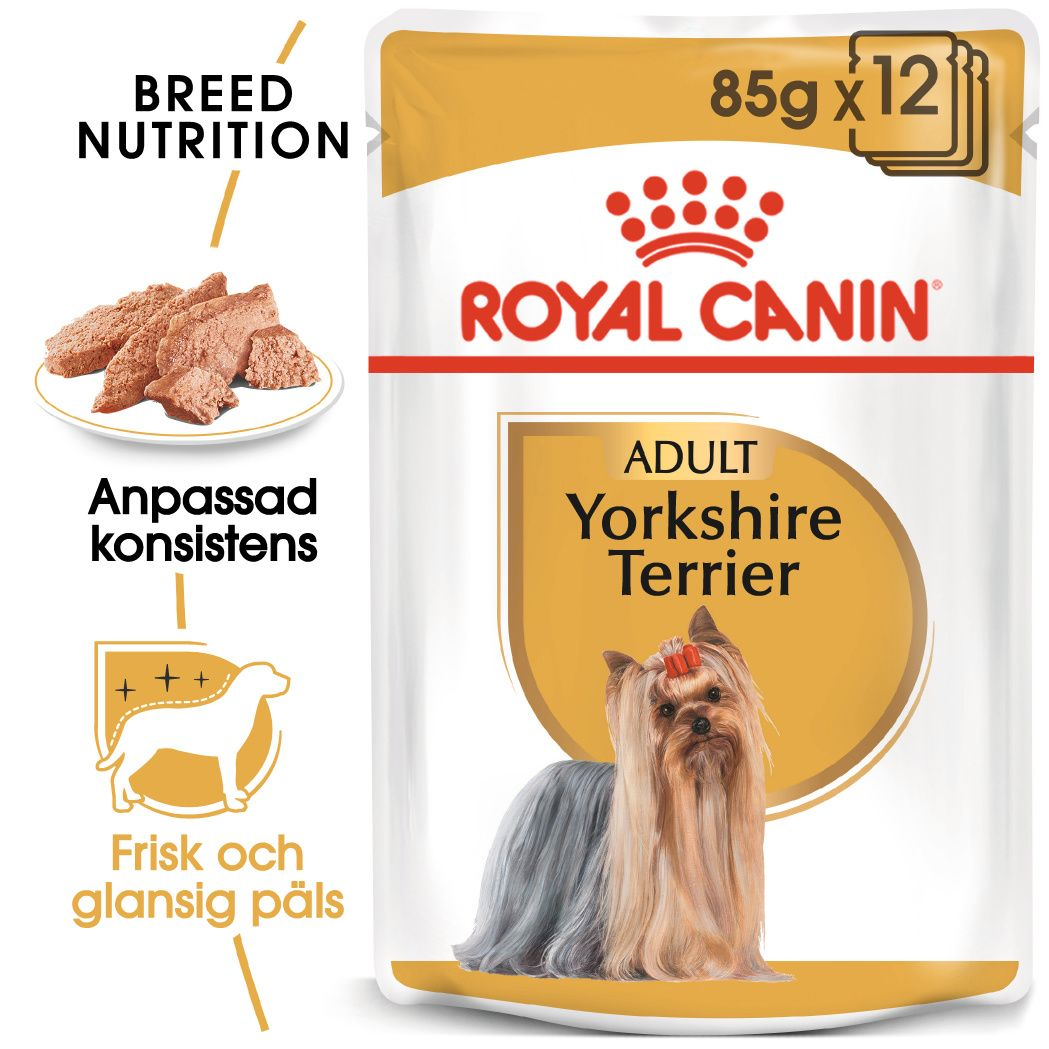 Royal Canin - Yorkshire Terrier Adult våtfôr til hund 85 g x 12 stk - Hund - Våtfôr - Dyrekassen.no