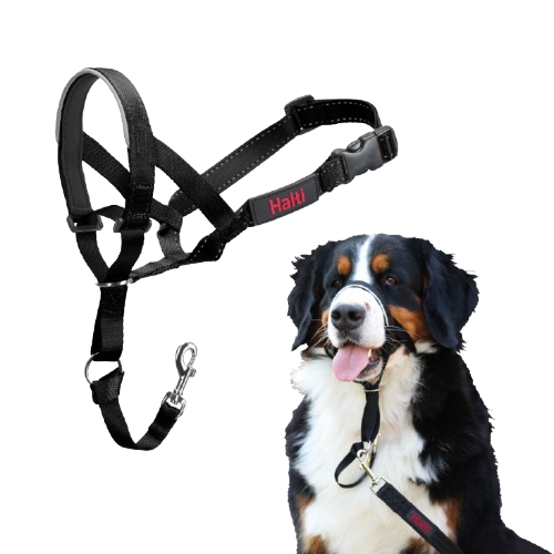 Mastiff nr. 4 Hals: 46-62 cm