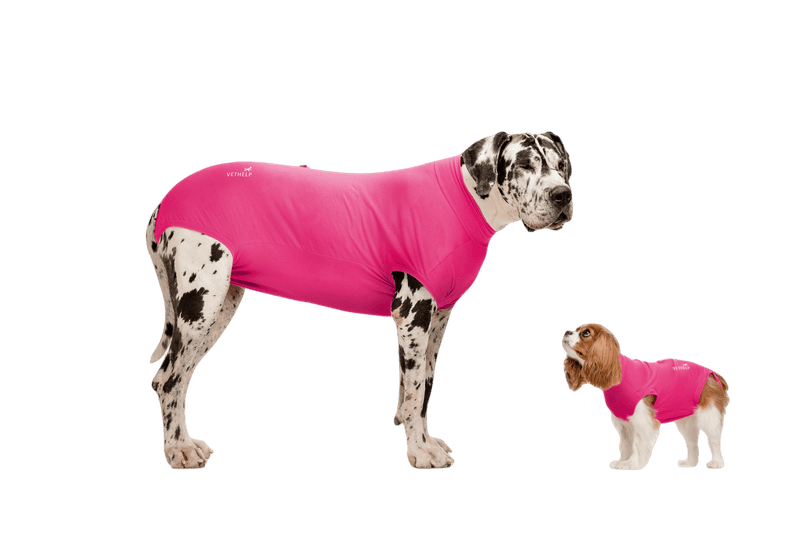 VetHelp - Gjenopprettingsdrakt Pink Tik/Katt nr. 10 - Hund - Hundens Apotek - Dyrekassen.no