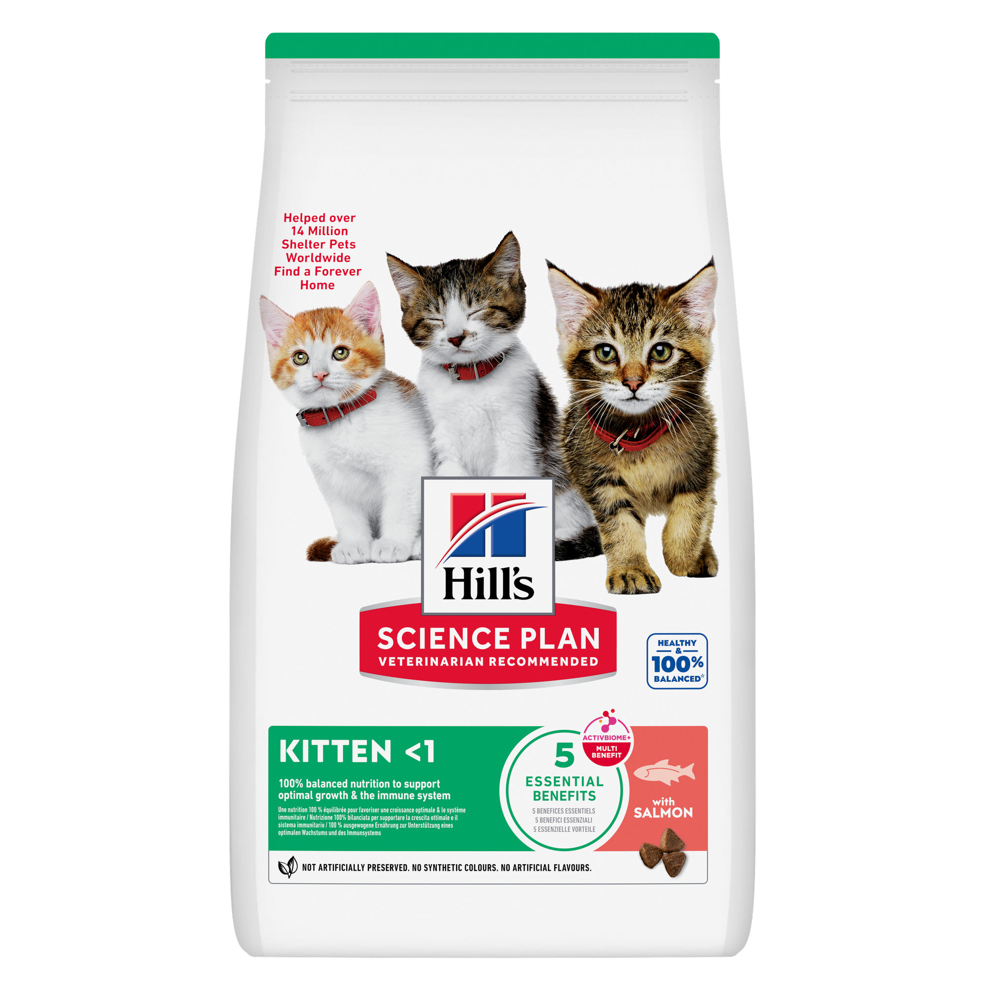 Feline Kitten Food Salmon