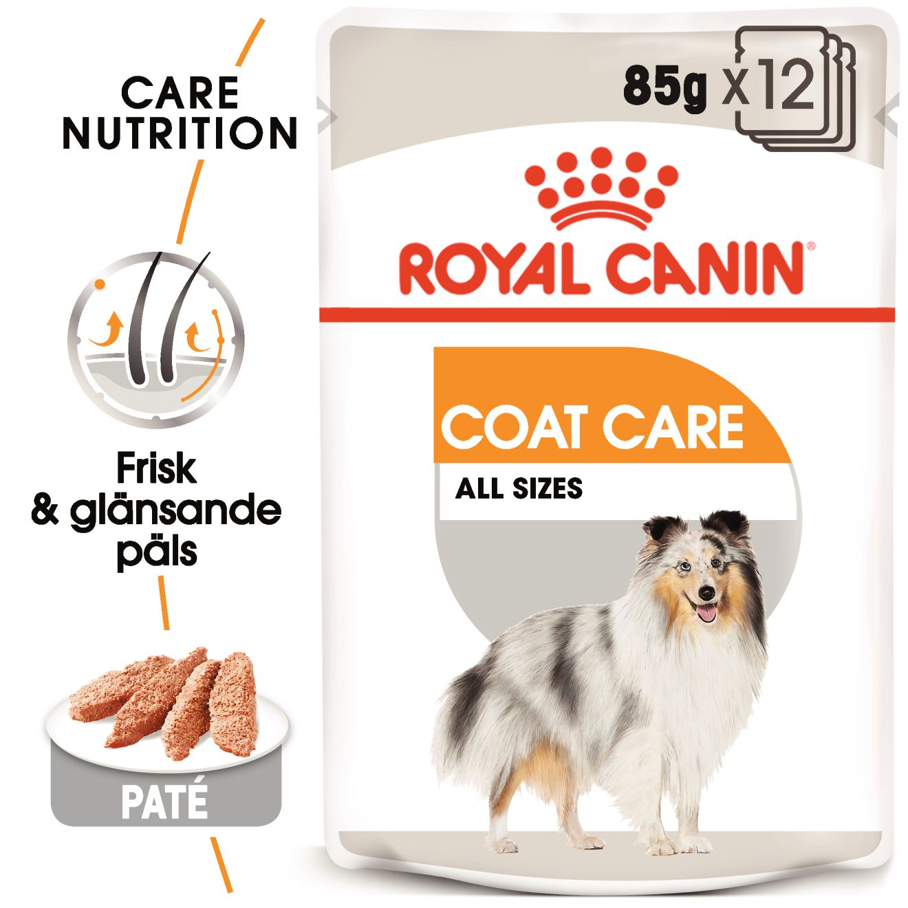 Royal Canin - Coat Care Loaf Våtfôr Til Hund 12 x 85 g - Hund - Våtfôr - Dyrekassen.no